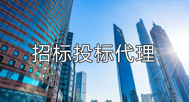 招標(biāo)、投標(biāo)